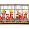Alipis Plastic Dog Crate Tray Leakproof Replacement Pan-6