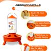 Chick Feeder Waterer Eggluuz Adjustable Orange-3