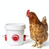 Longpo Chicken Feeder Port Kit Automatic Poultry Feeding-2