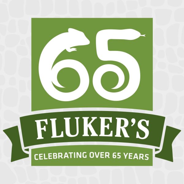 Flukers Chicken Treats All Natural Protein Packed-6
