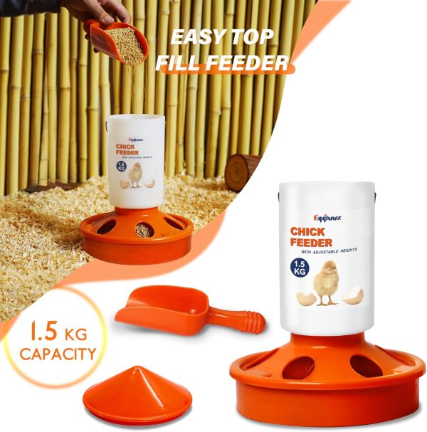 Chick Feeder Waterer Eggluuz Adjustable Orange-1