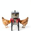 TGEYD Galvanized Chicken Feeder 30LB 6 Ports Poultry-6