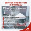 RentACoop Heated Strap Poultry Waterer Frost Free Winter-3