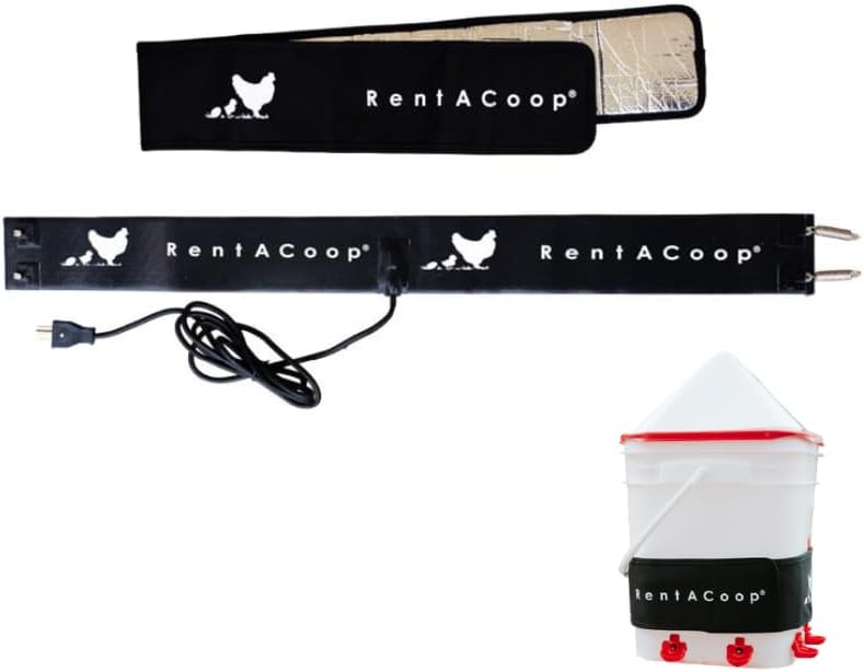 RentACoop Heated Strap wrapped around a poultry waterer bucket