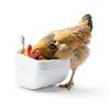 Tiflev Goat Feeder Hanging Large Capacity Mess Free Design-5