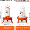 Chick Feeder Waterer Eggluuz Adjustable Orange-5