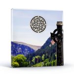 Celtic Folk CD by CELTOPHILE RECORDS English Language 2009 Release-0
